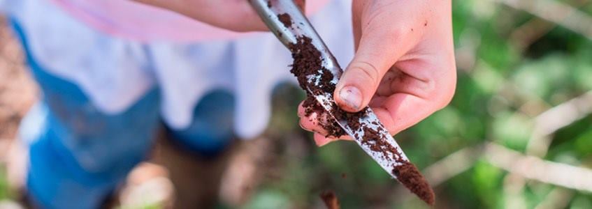 comer tierra adelgazar