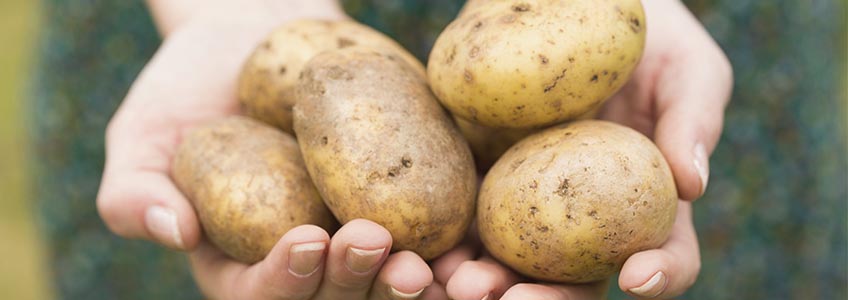 imagen de alimentos saludables con patatas