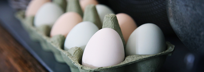 huevos enriquecidos con omega 3