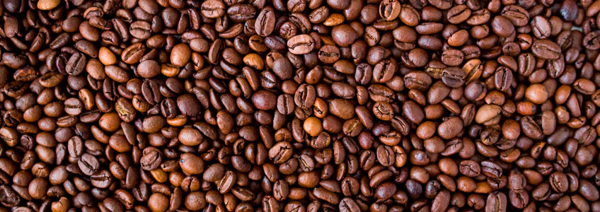 alimentos para el metabolismo: café