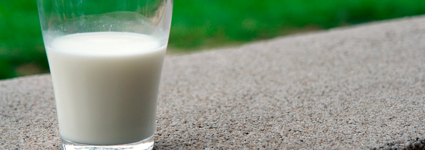 lácteos para controlar hormonas y adelgazar
