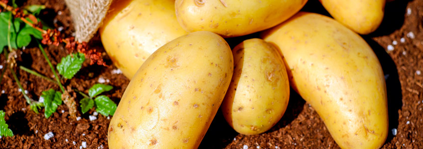 patatas para controlar hormonas y adelgazar